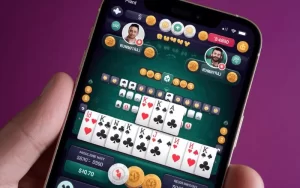 Rummy Go